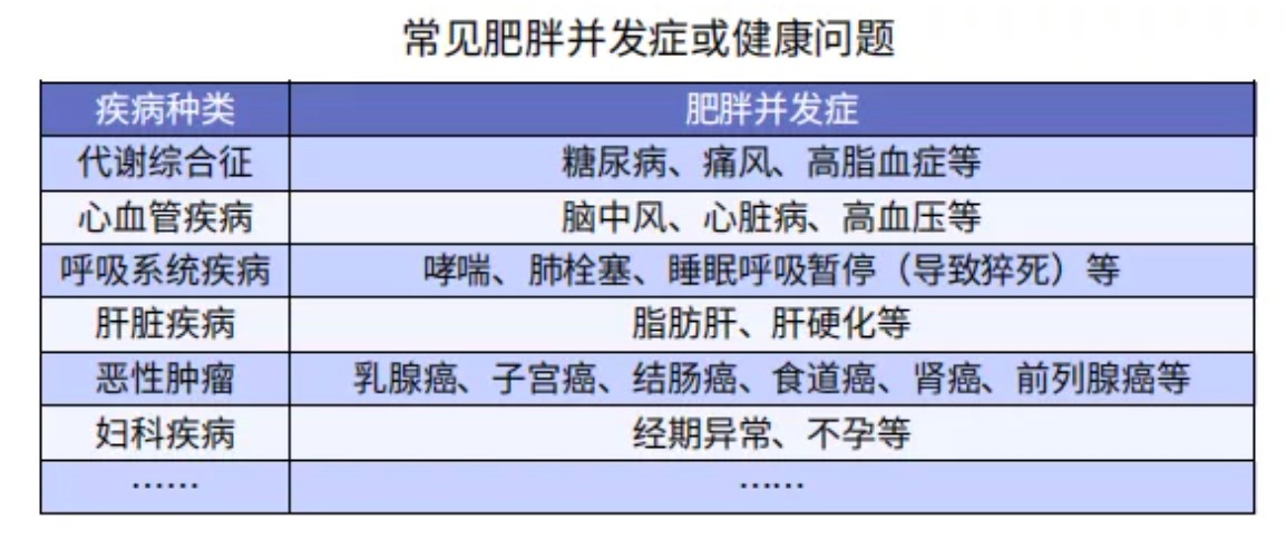 太胖被拒保怎么辦？