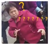 為什么不買保險就不讓養(yǎng)狗？
